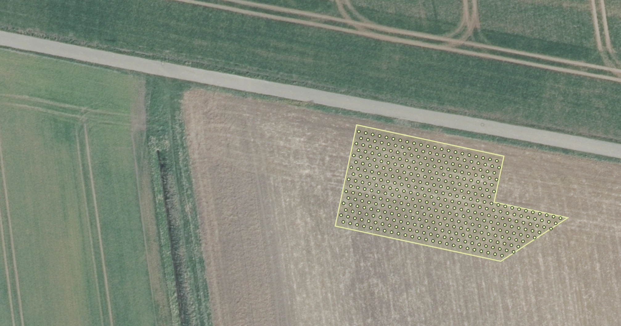 Beispiel eines Lageplans mit Bohrpunkten auf einer Fläche neben einem Feldweg.